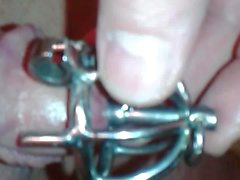 Replacing my micro steel chastity cage