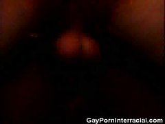 Doggystyle Ass Fucking And Cumshots