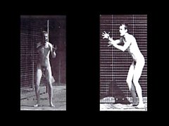Muybridge's Male Nude Locomotion