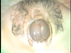 Fucking an Artificial Vagina to Orgasm 1