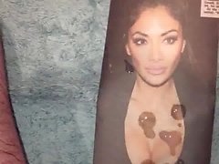 Nicole Scherzinger Cum Tribute 9