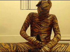 Tiger boy cumming hard