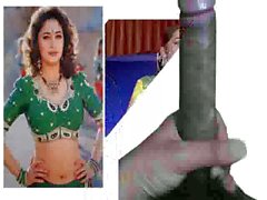 madhuri dixit the image of my dick
