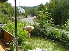 nudic working in the Garden