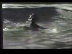 Gay Vintage 50's - A Stolen Swim